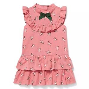 NWT Janie and Jack Dusty Rose Ruffle Dog Dress